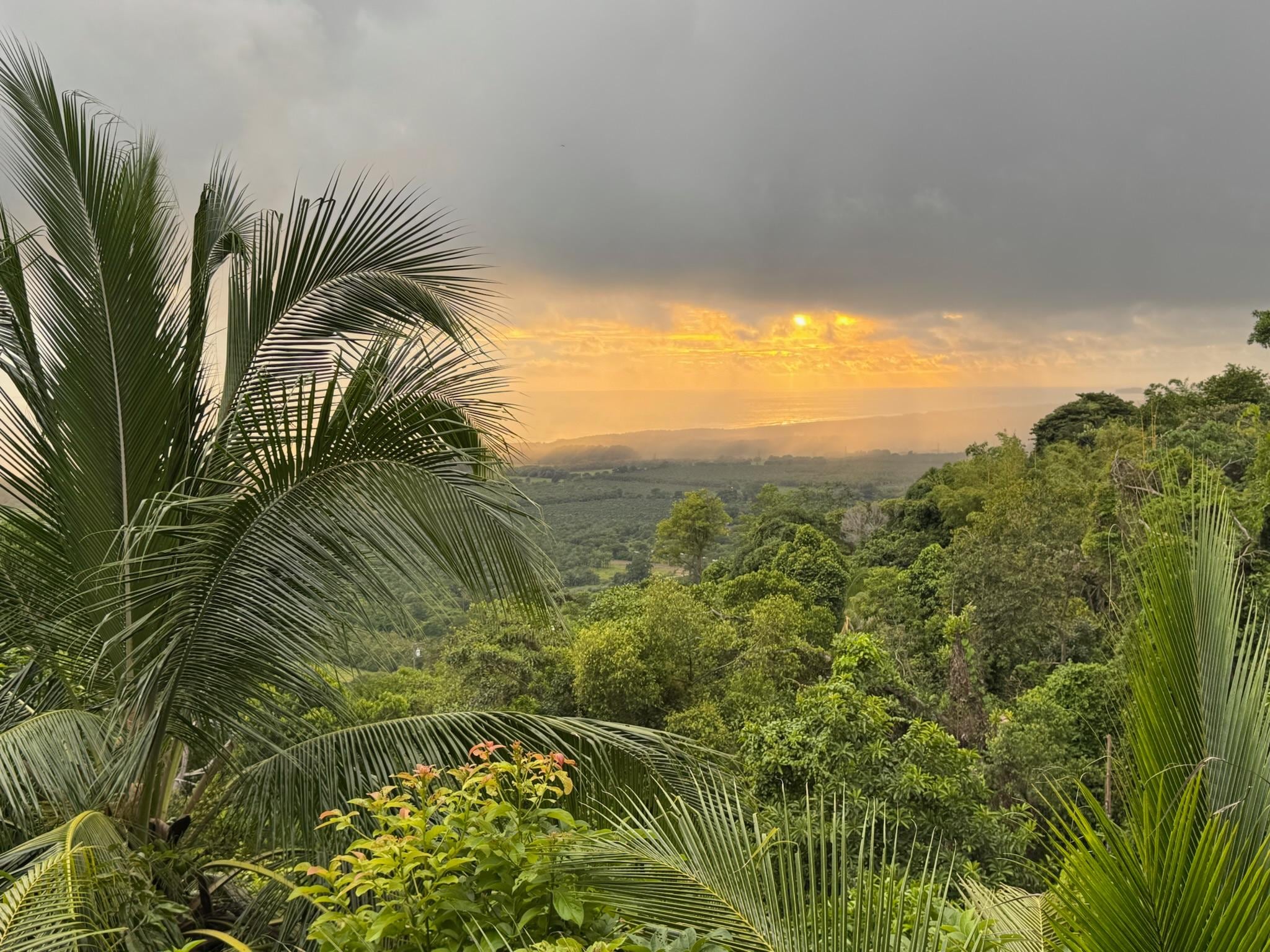 View from the hot tub