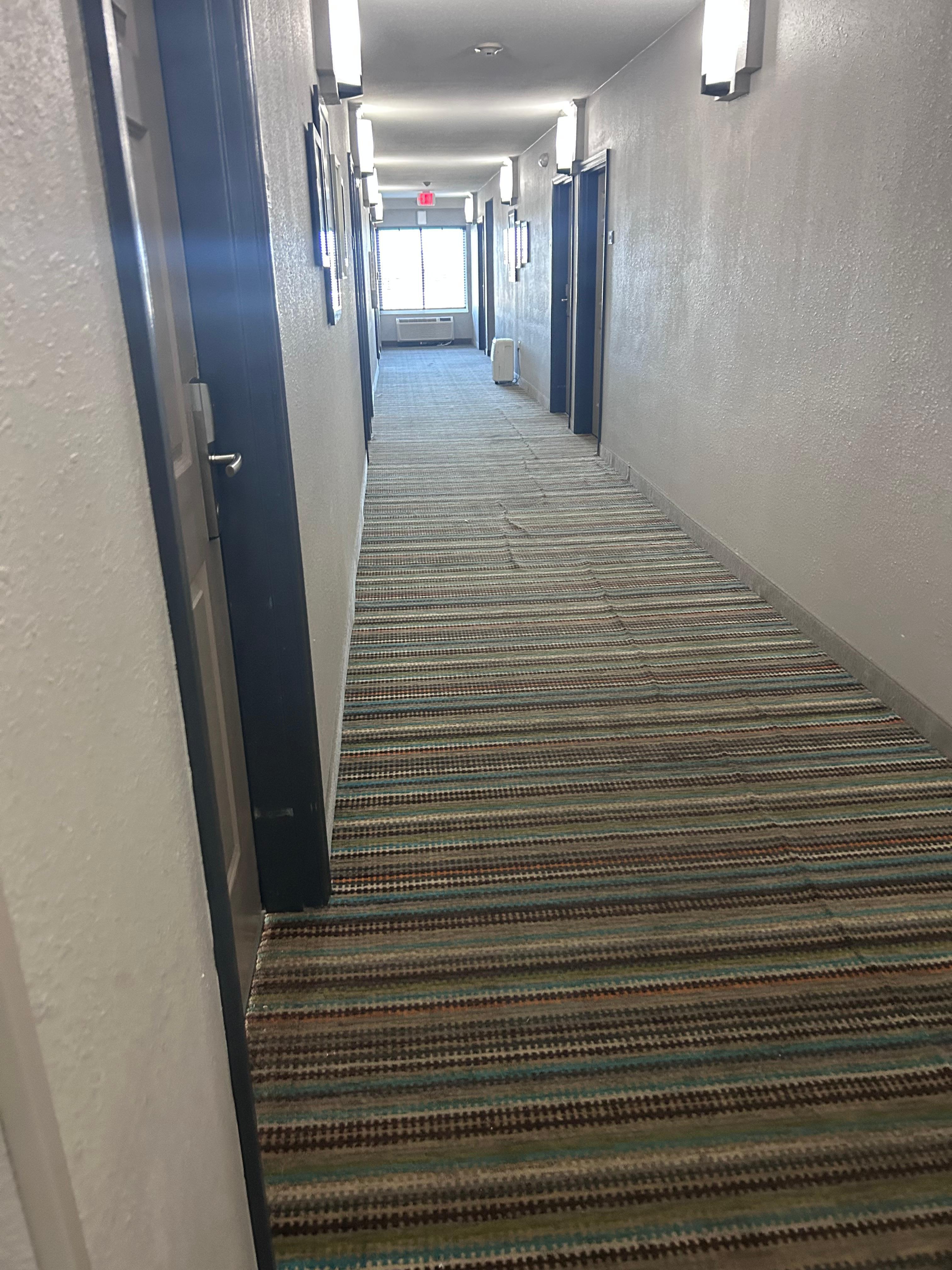Worn carpet and dehumidifier in hall