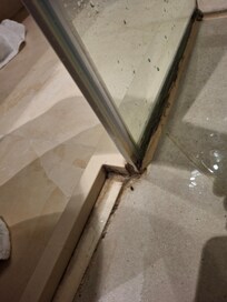 Mold in bathroom