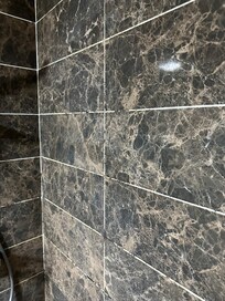 Mould in shower