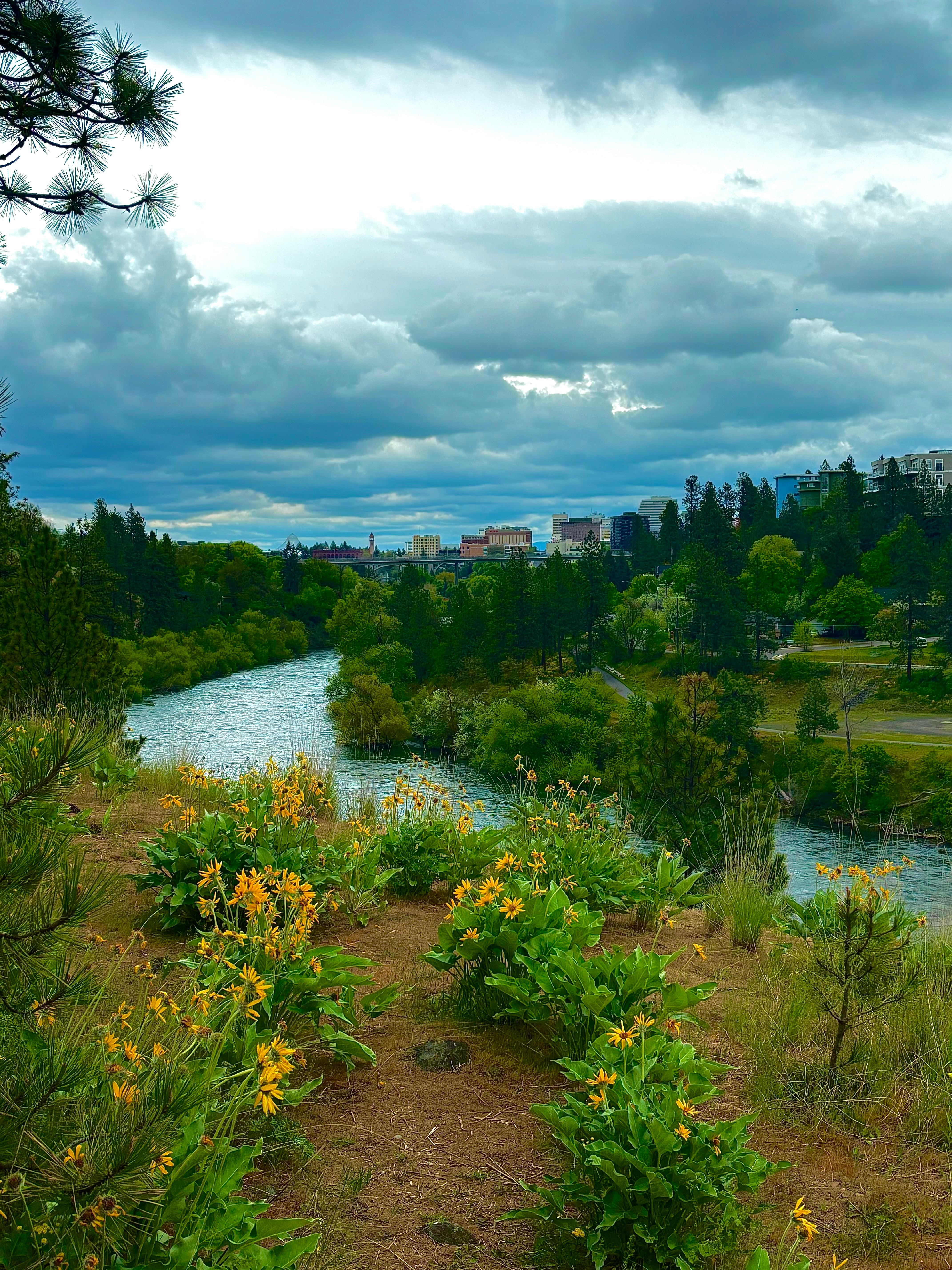 Spokane River Walk