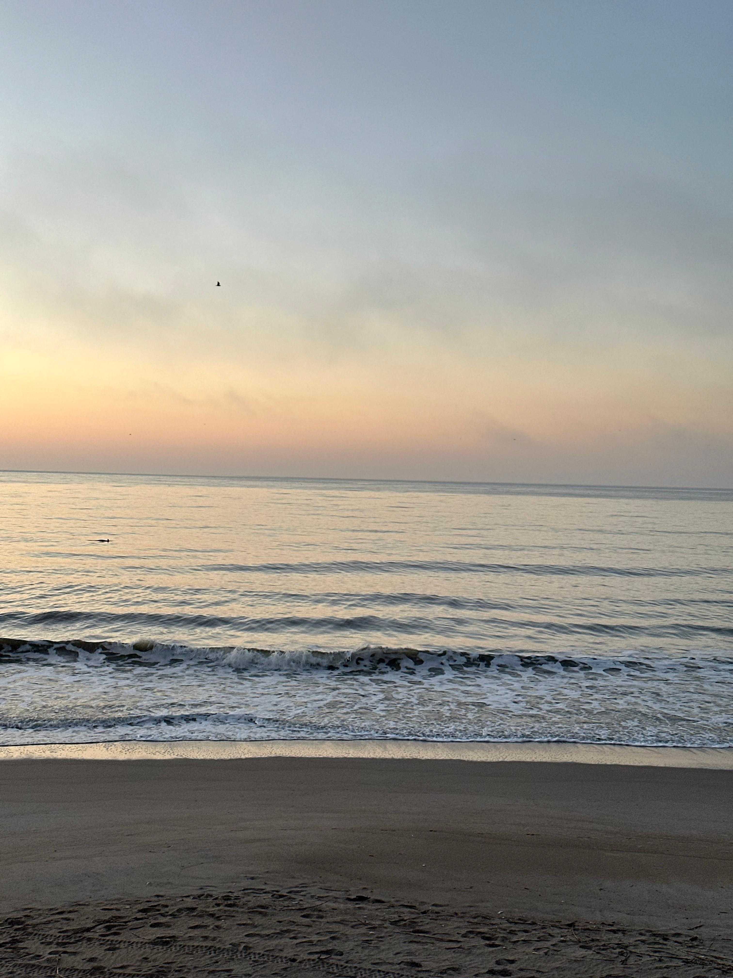 Ocean is right there!