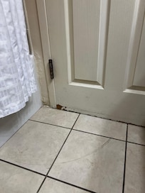 Grout needs to be cleaned. A lot of areas need painting.