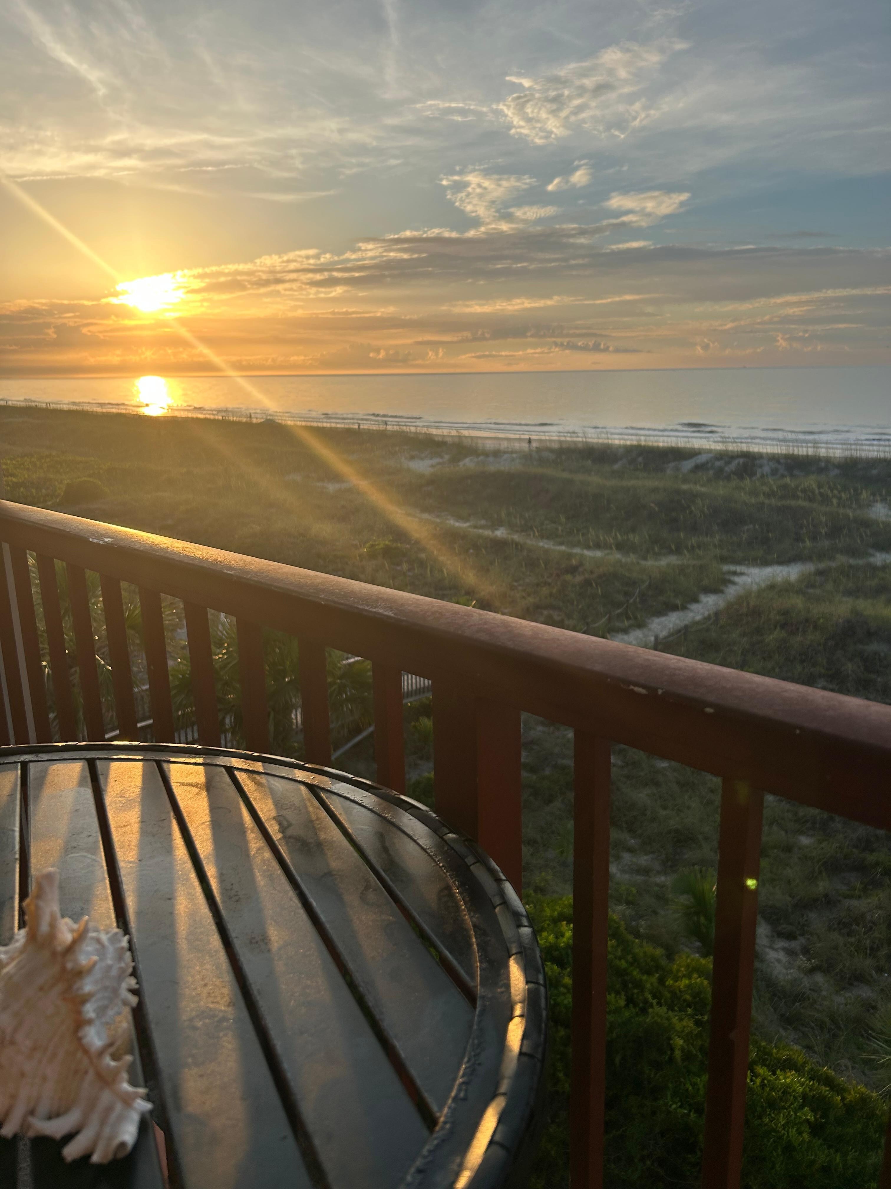 Morning views 