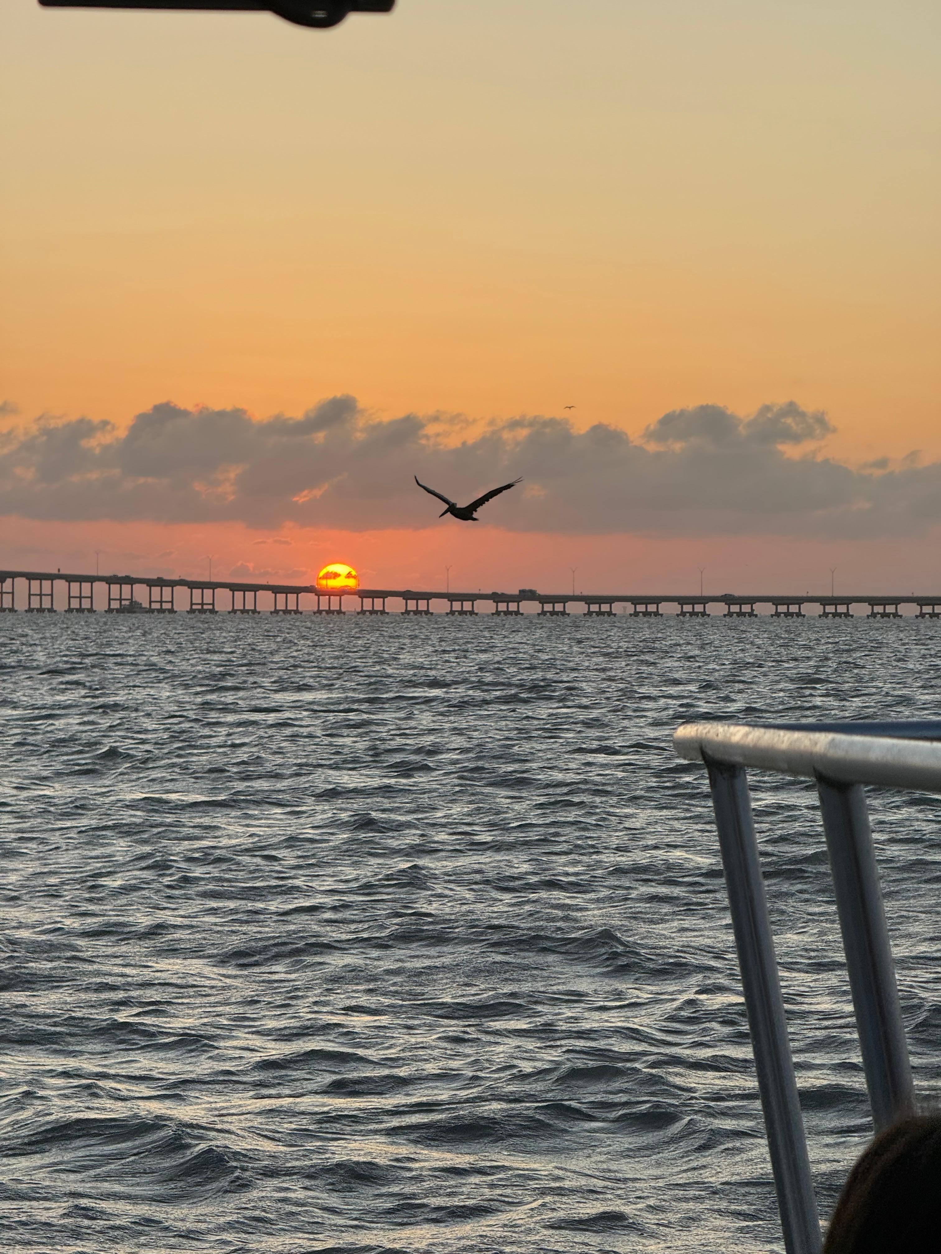 Bay side from dolphin tour. 