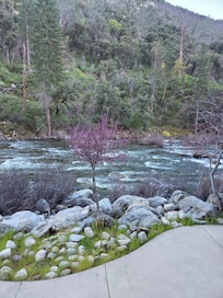 View from river walk on hotel site.