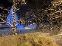 Christmas lights in local park 200 m away