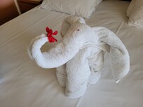 Vår herlige værelsepike gledet oss hver dag 🥰