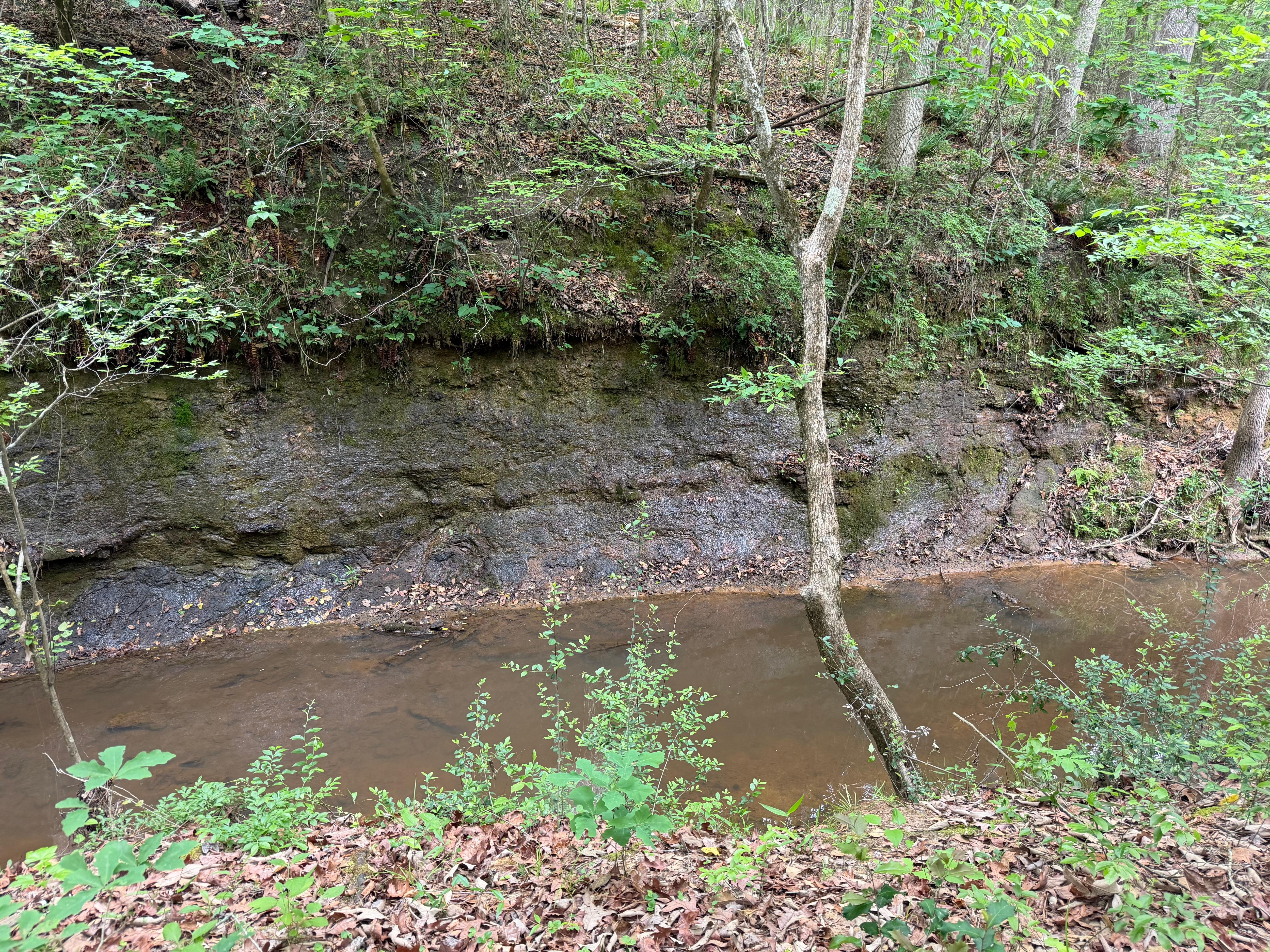 On the trail to the north