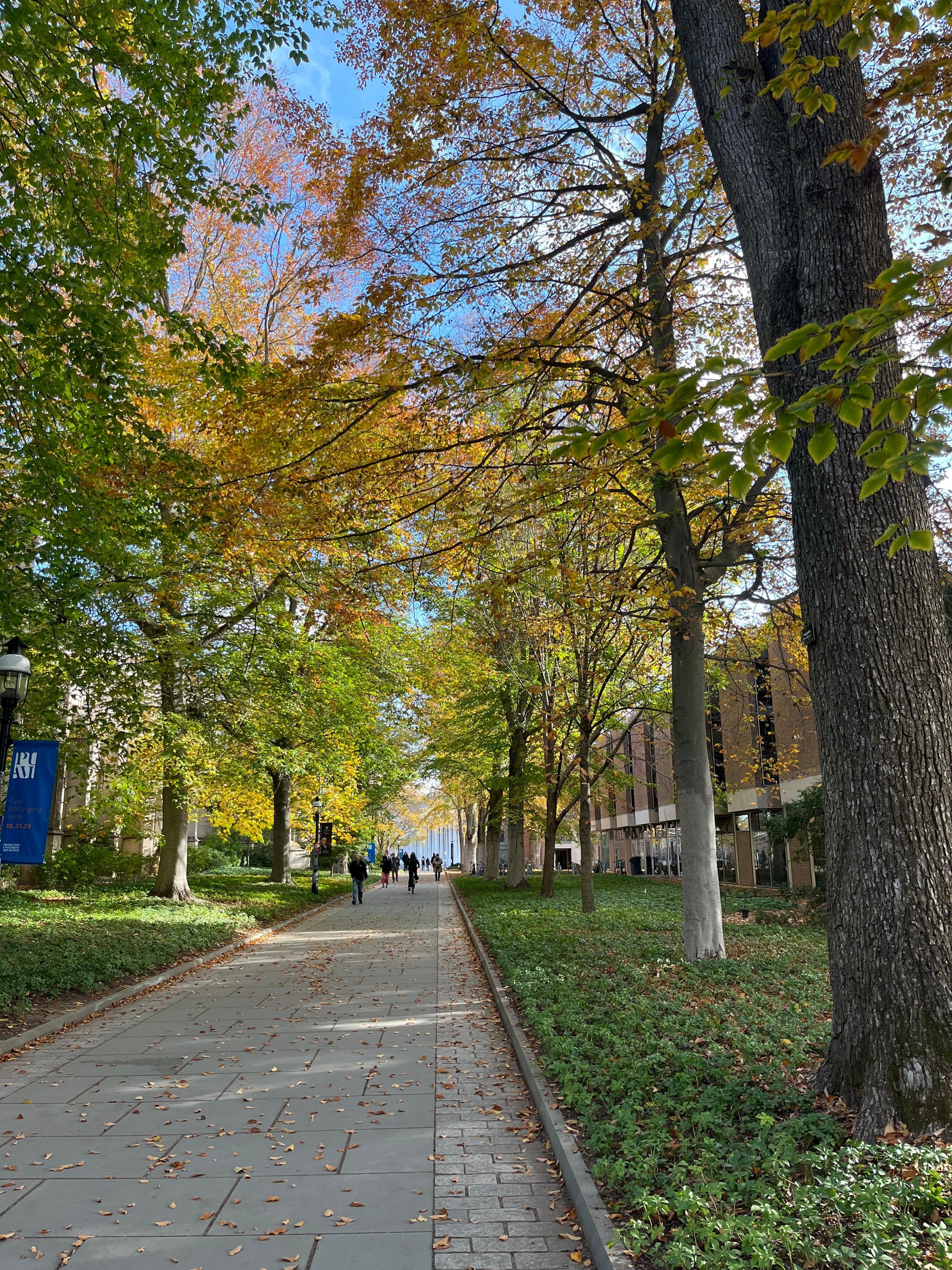 Princeton University campus in autumn