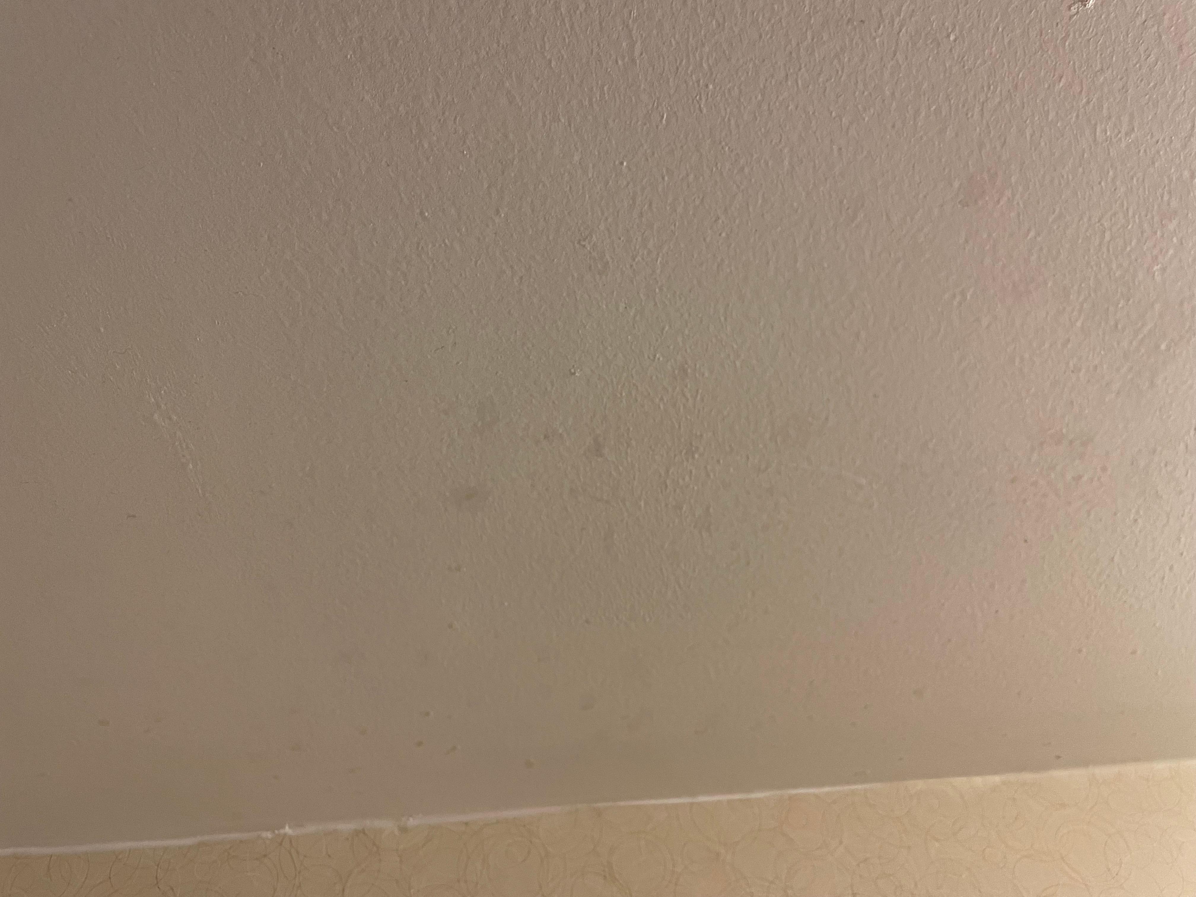 Mold in bathroom 