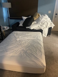 This is where we all slept