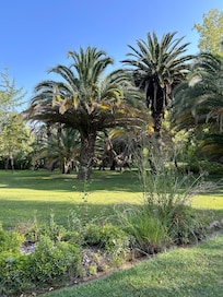 Le parc