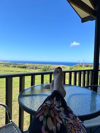 Vue depuis la terrasse (avec siÚge balançoire)
