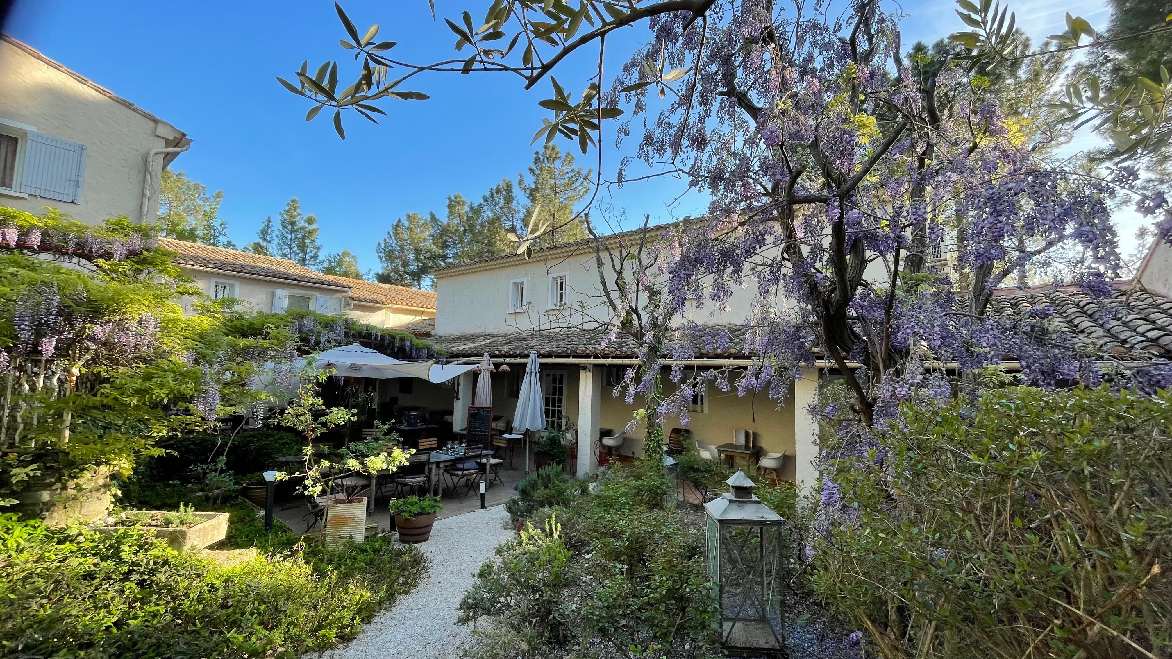 Le patio sous la glycine 