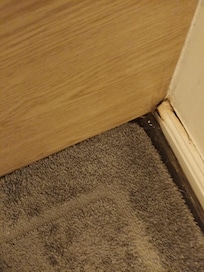 mouldy and rotten skirting board