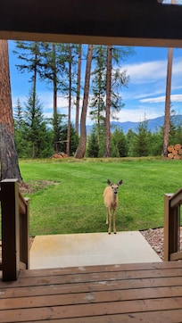 Such a nice view out the back door, with or without the deer
