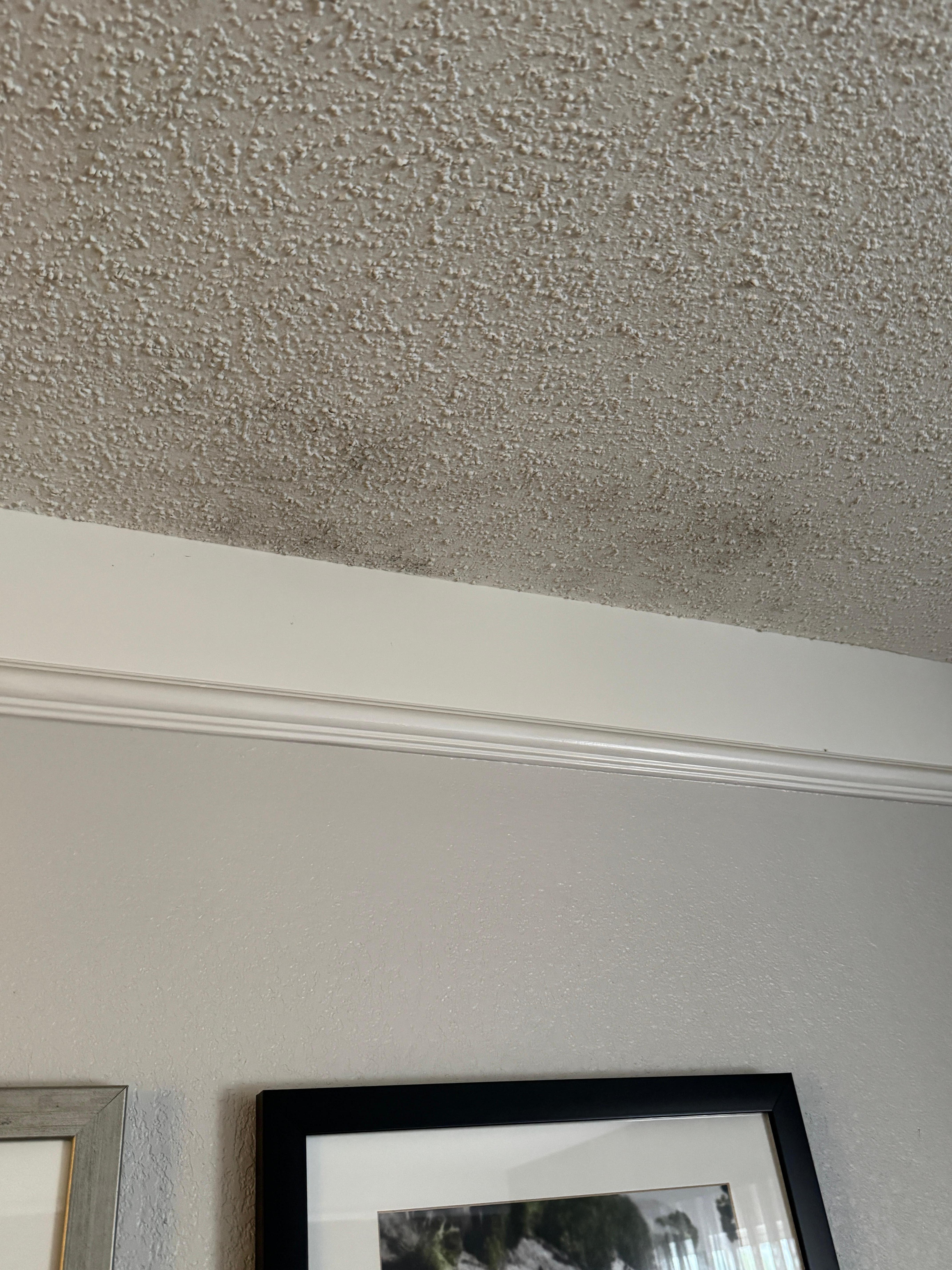 Mold on roof