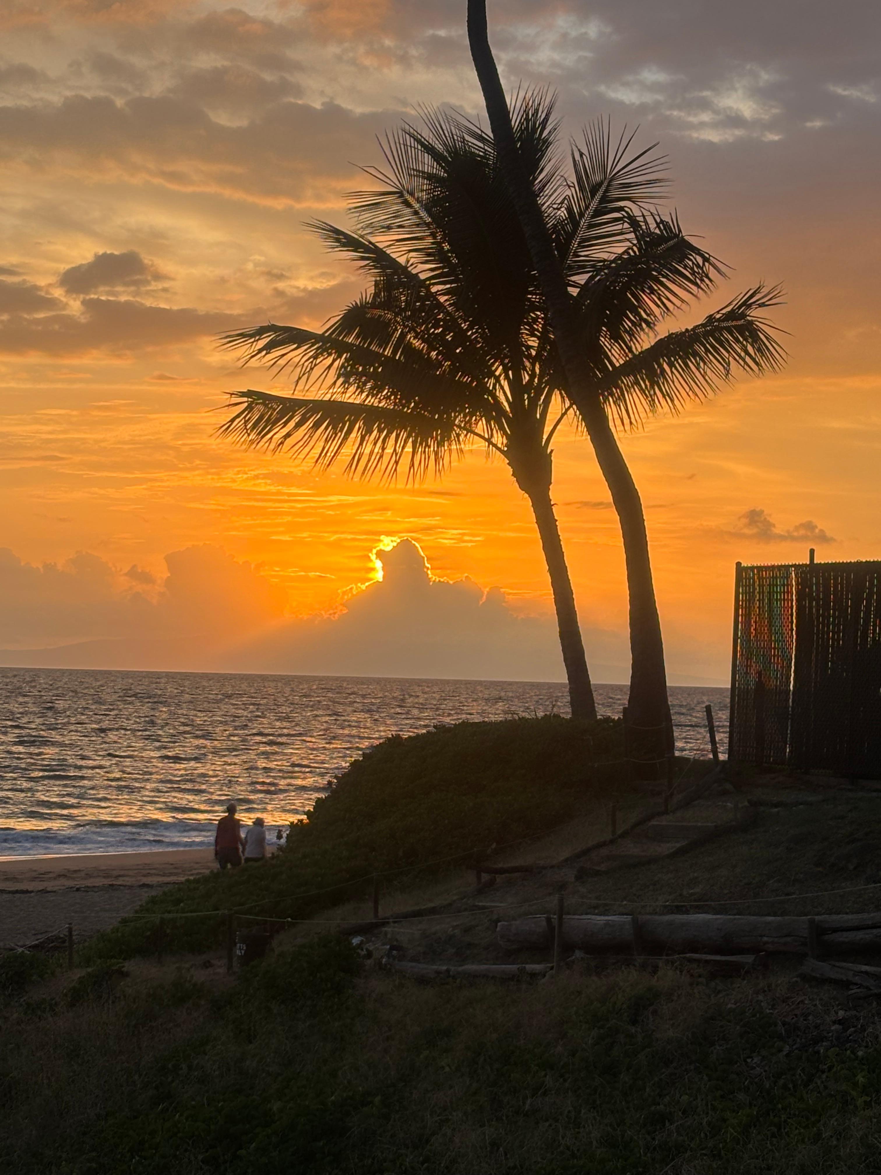 Beautiful sunsets 