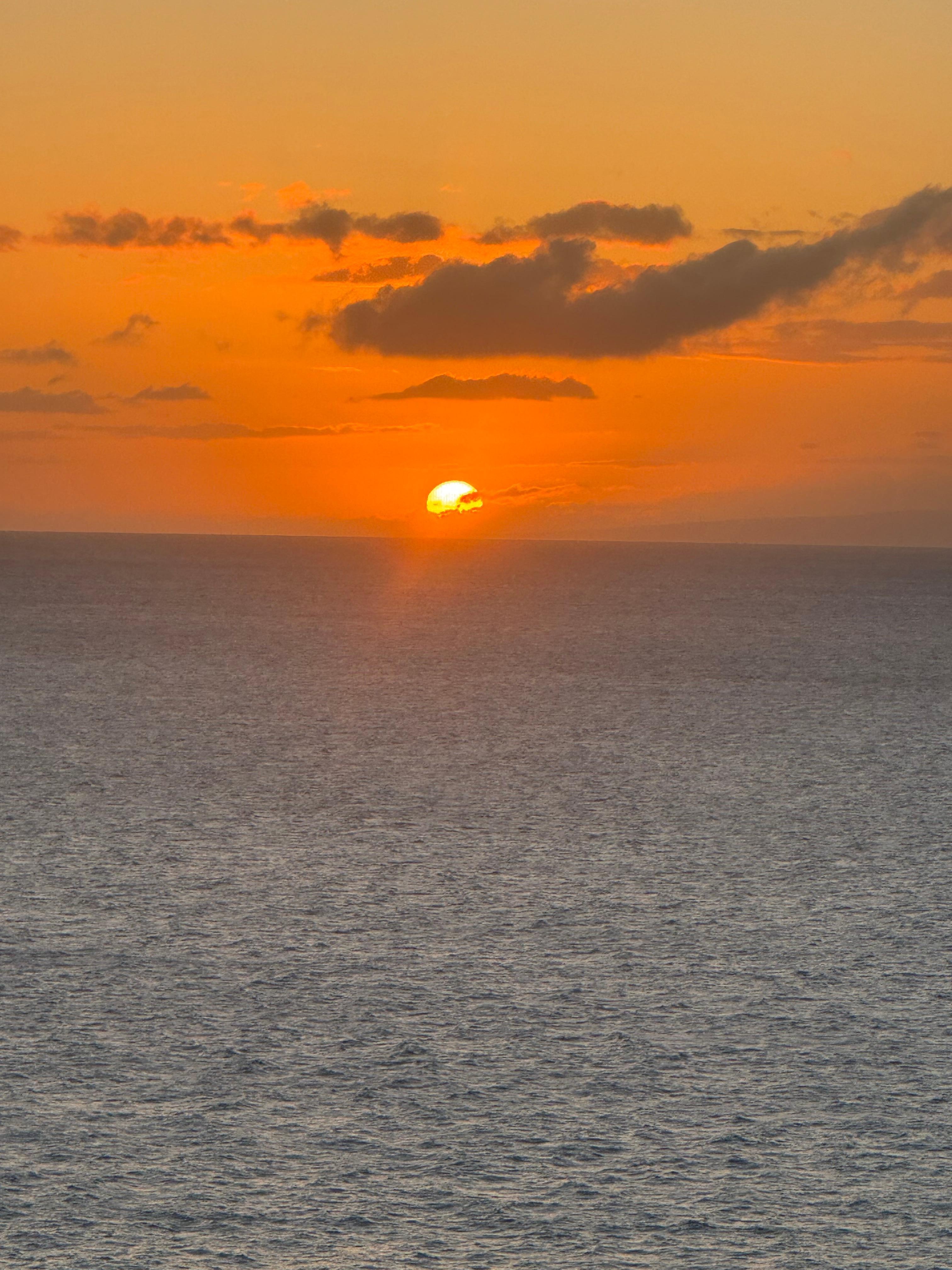 From the lanai