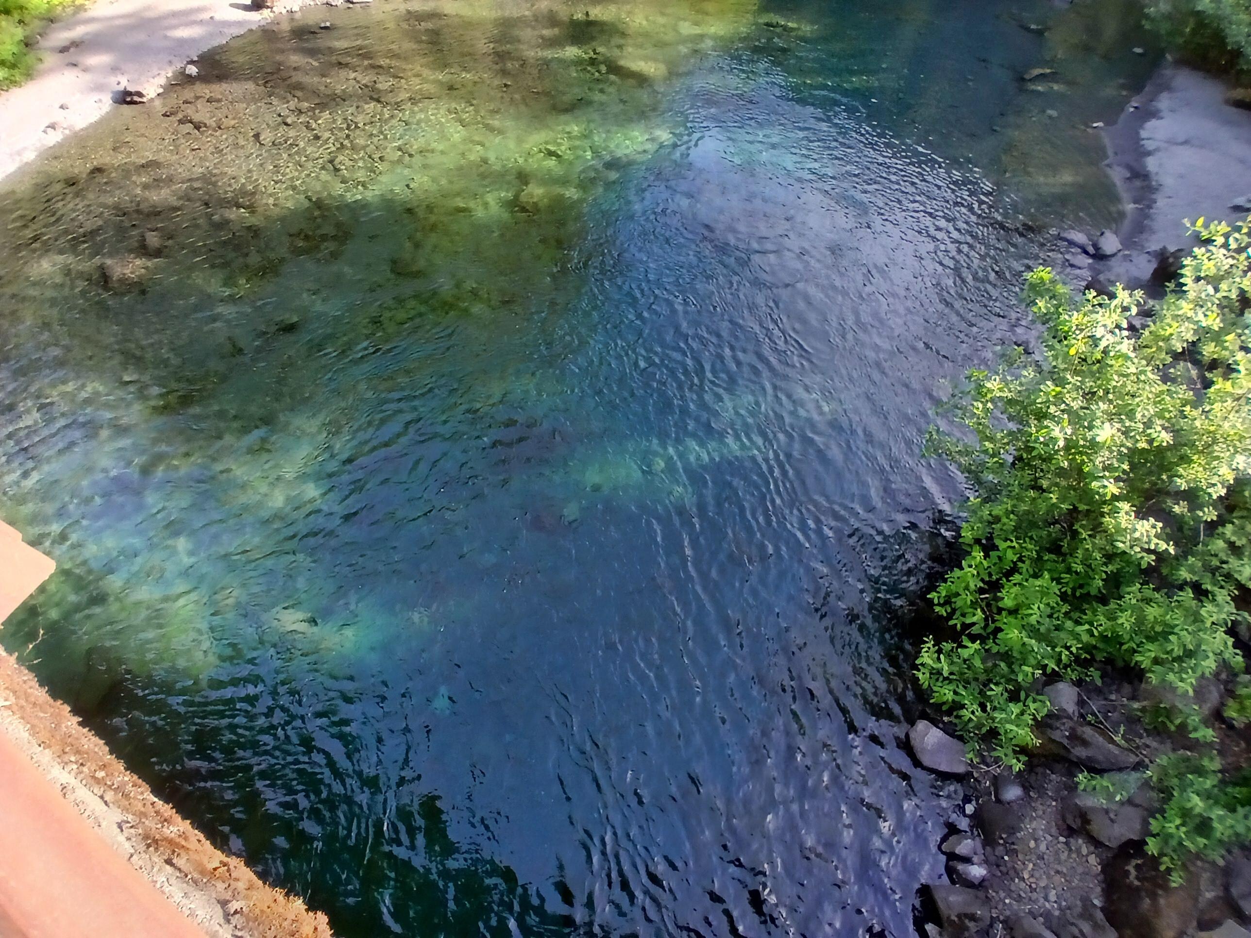 Skokomish River at Staircase campground