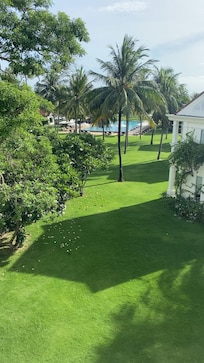 From room window