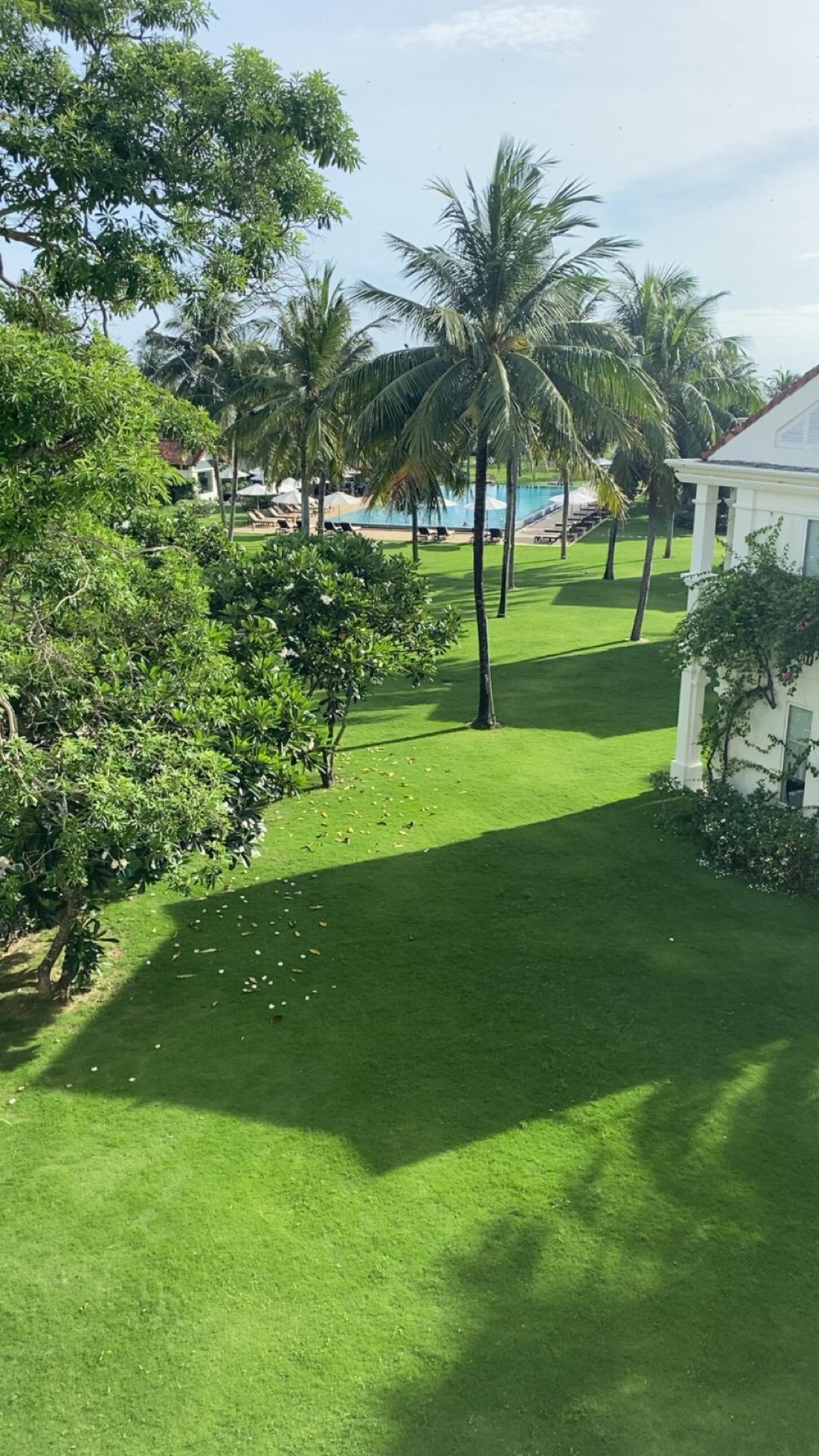 From room window