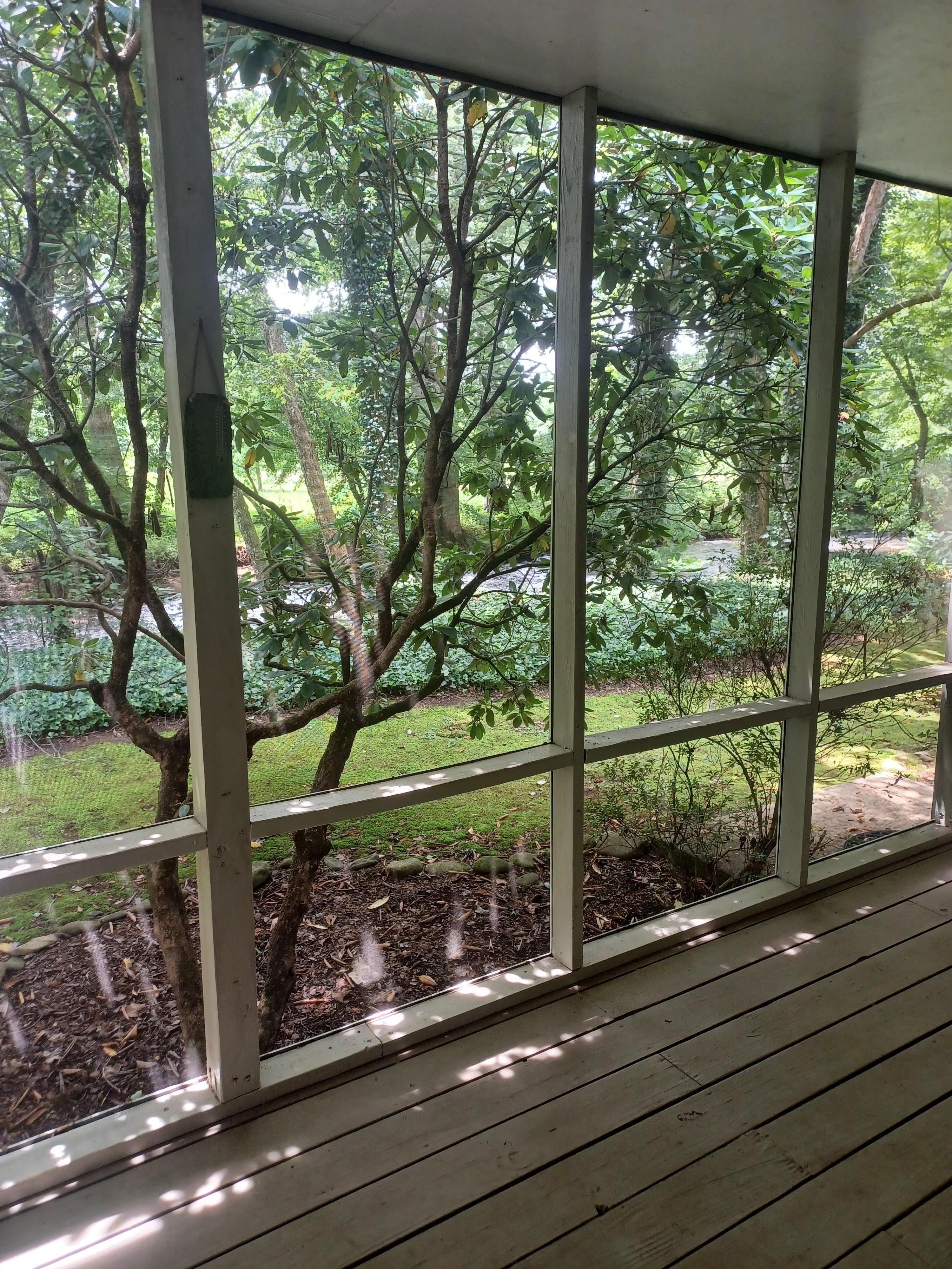 View from inside the screened in porch 