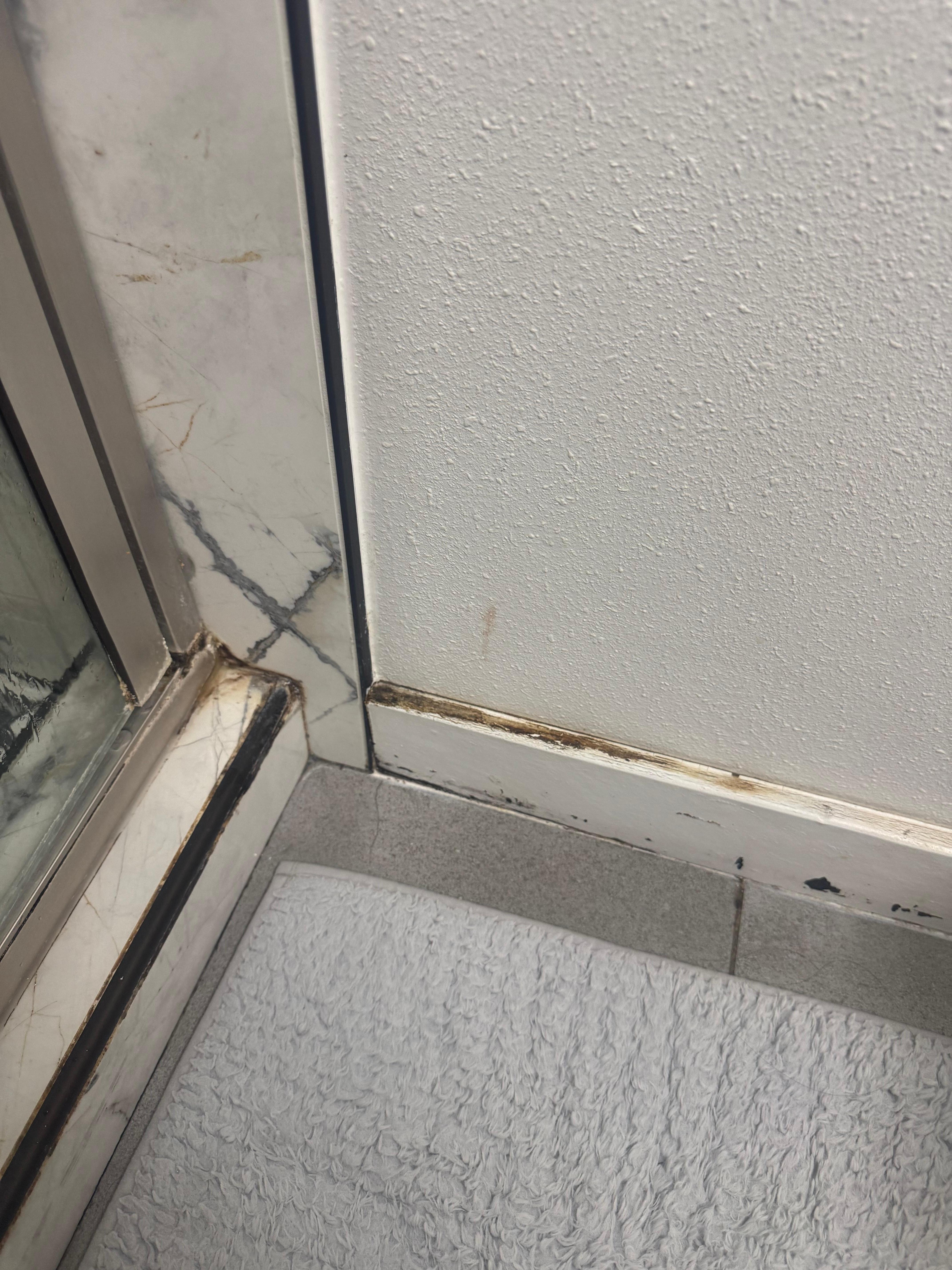 Mold all over the bathroom. 