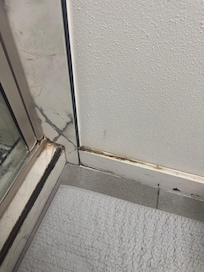 Mold all over the bathroom.