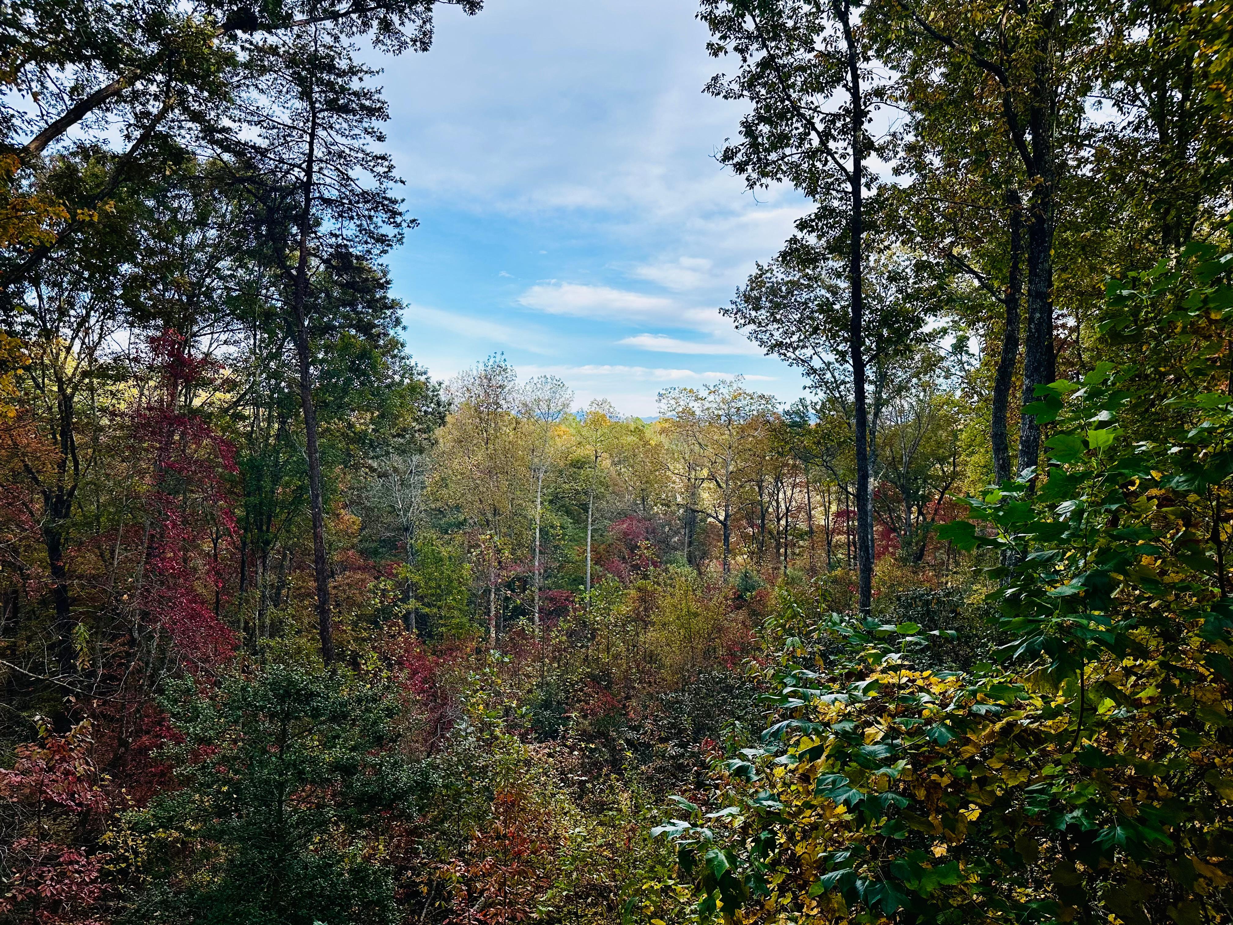 View from the deck off the living room.  