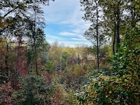 View from the deck off the living room.