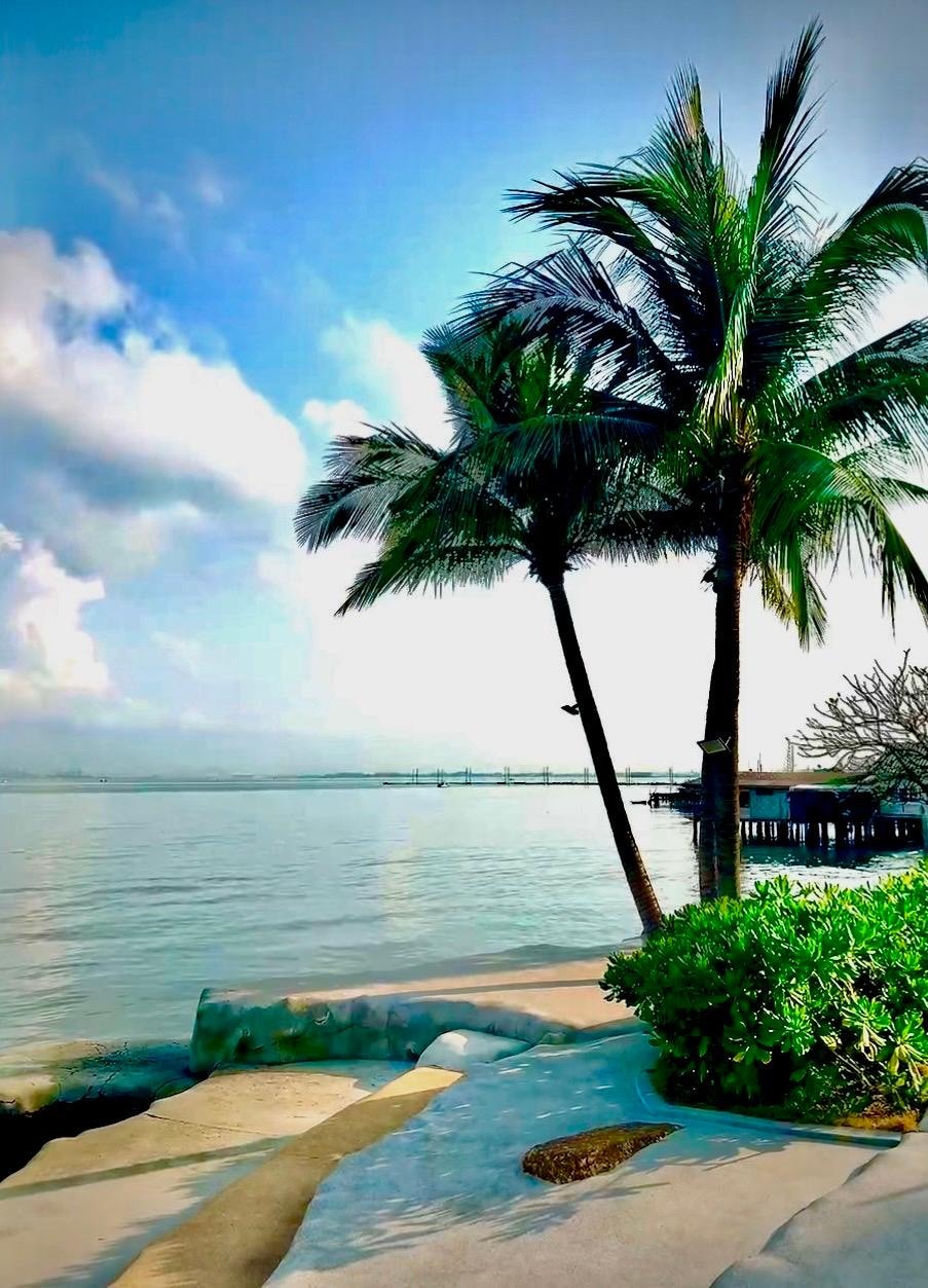 酒店後面走到底部觀海區域拍的