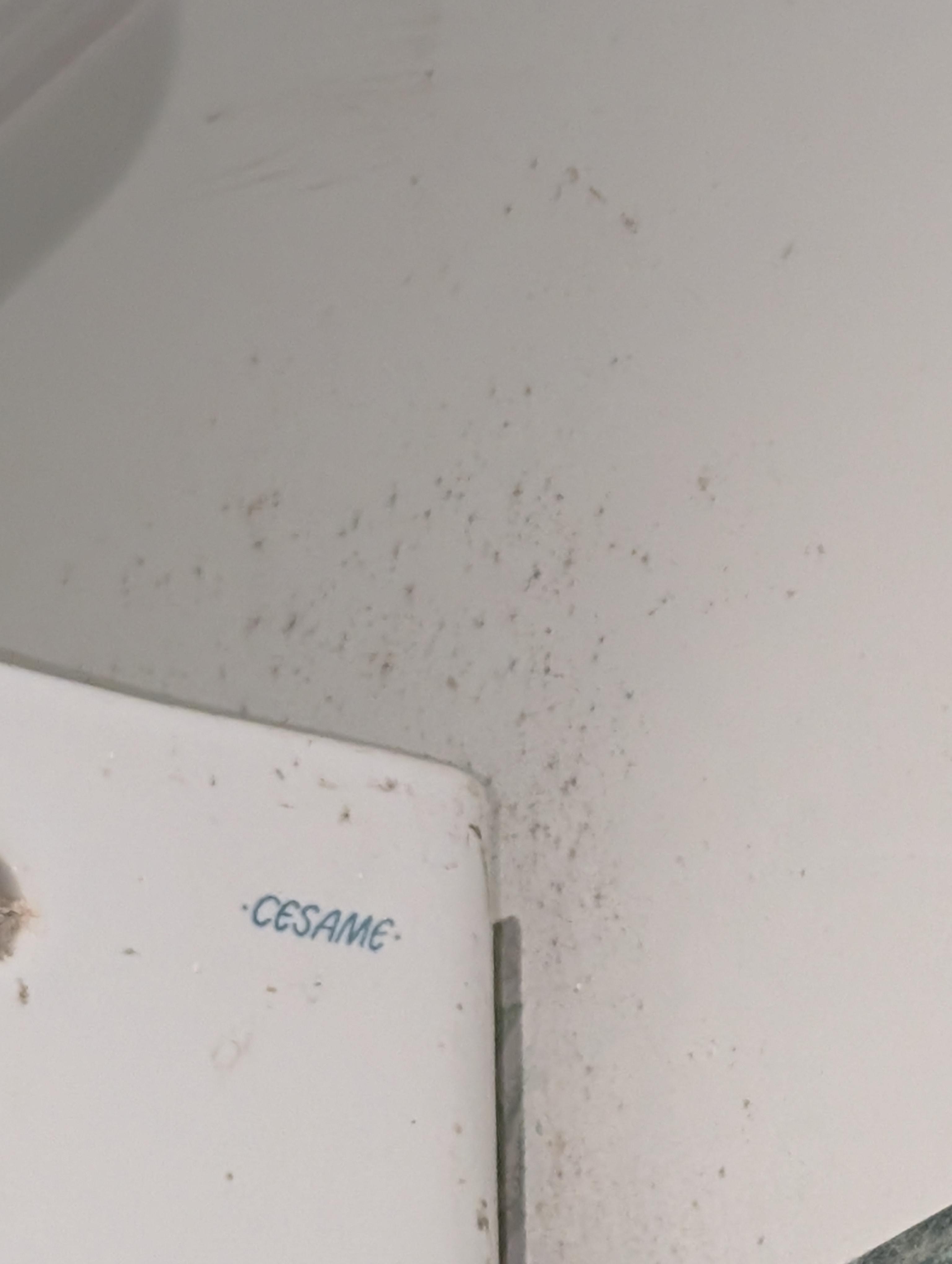 Example of dirt throughout the unit