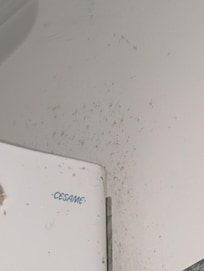 Example of dirt throughout the unit