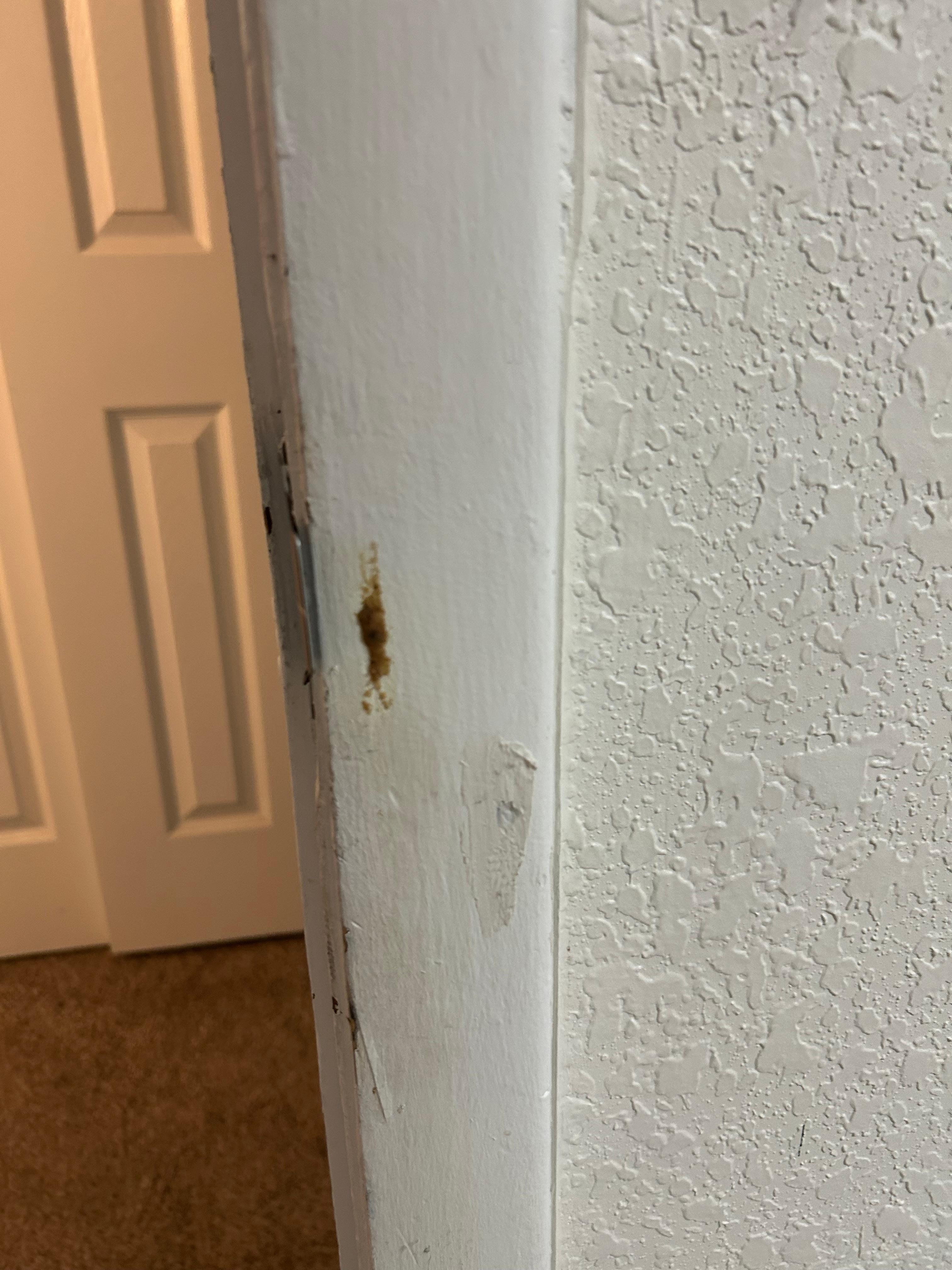something on the wall
