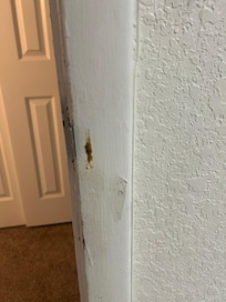 something on the wall