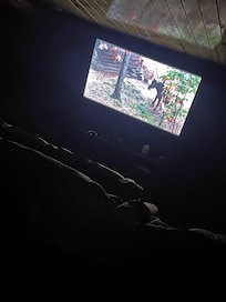 The theater room was a late night favorite.