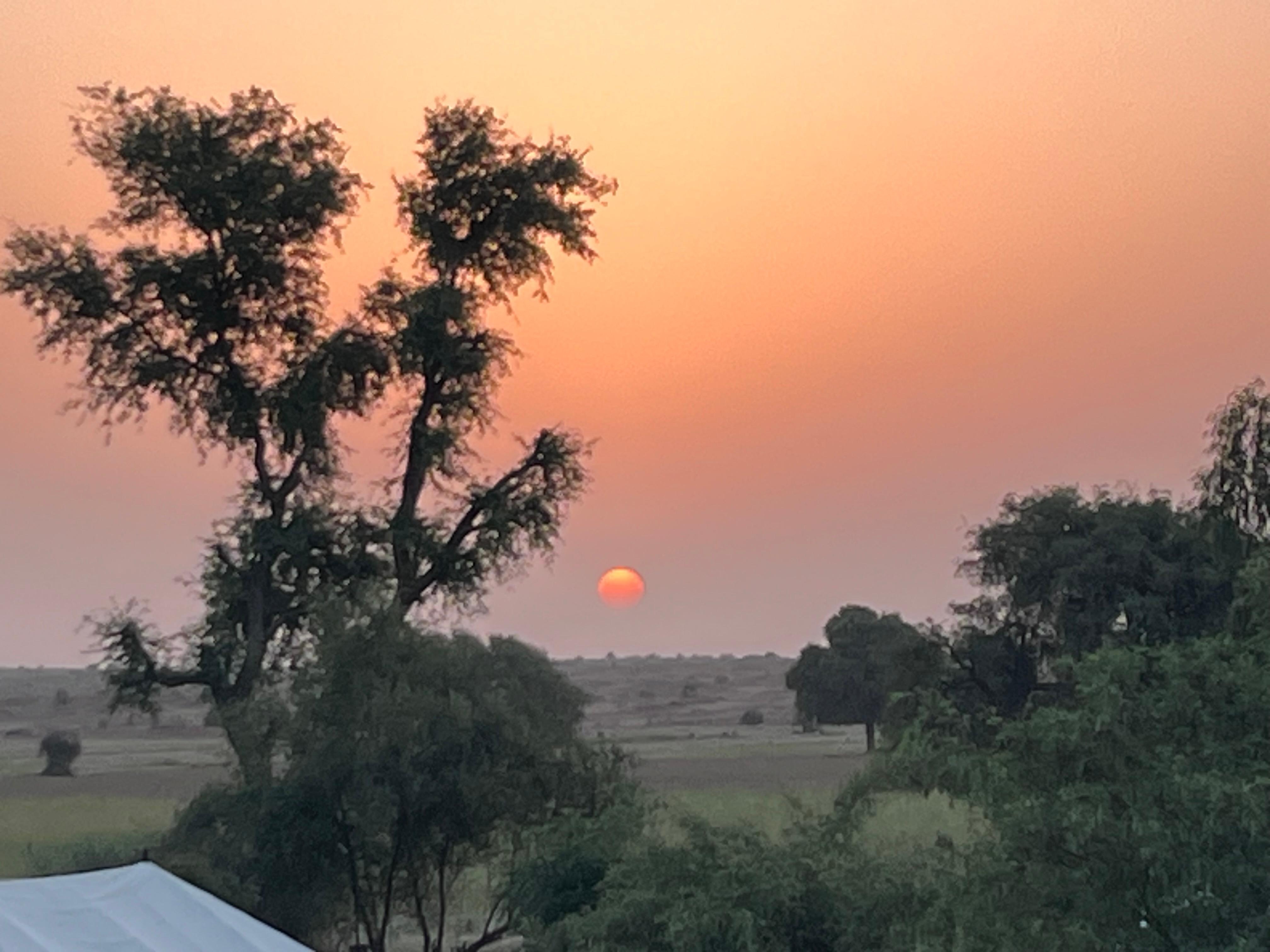 Peaceful surroundings