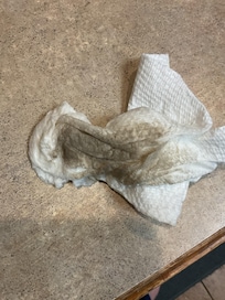 This is what the paper towel looked like when I cleaned up a small spill on the floor.