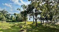View from the patio