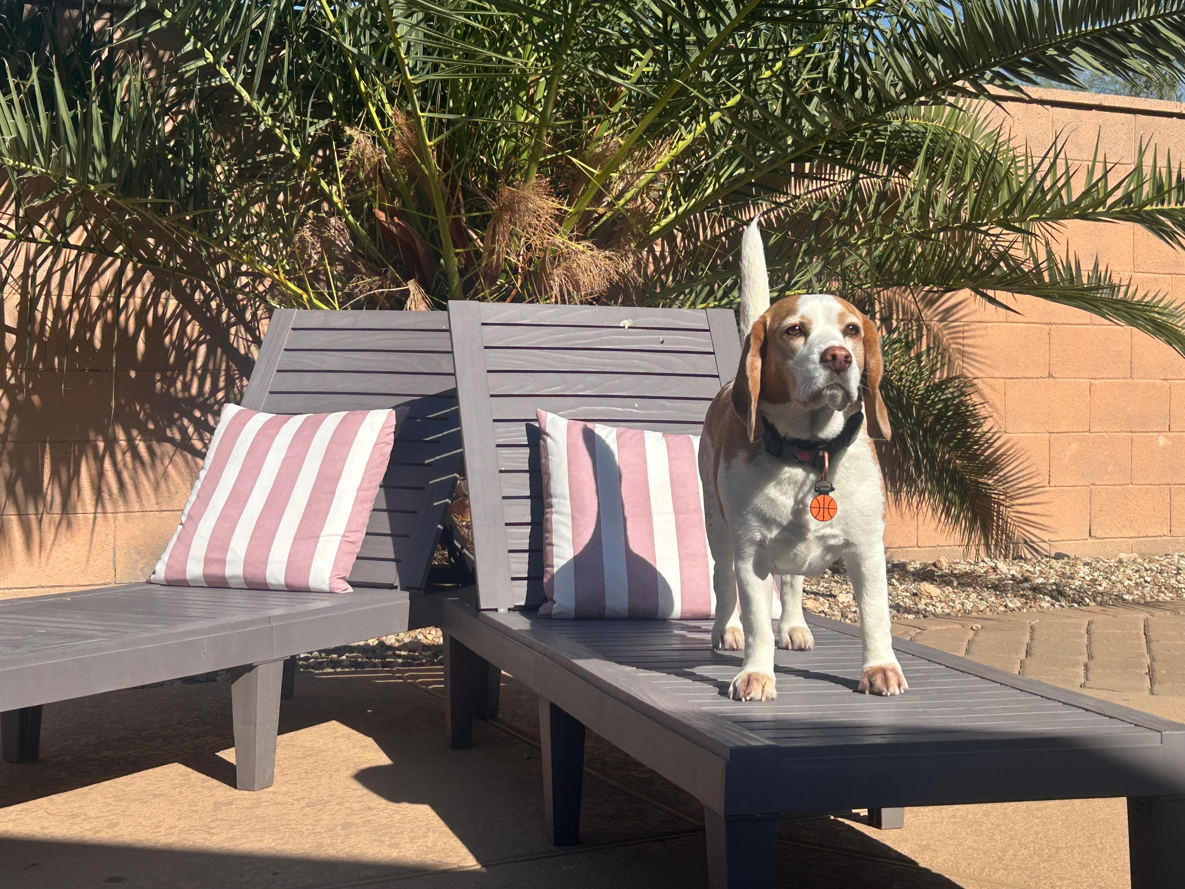 Enjoying the sunshine. 