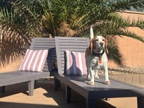 Enjoying the sunshine.