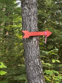 The arrow that I am assuming meant river beach this way?