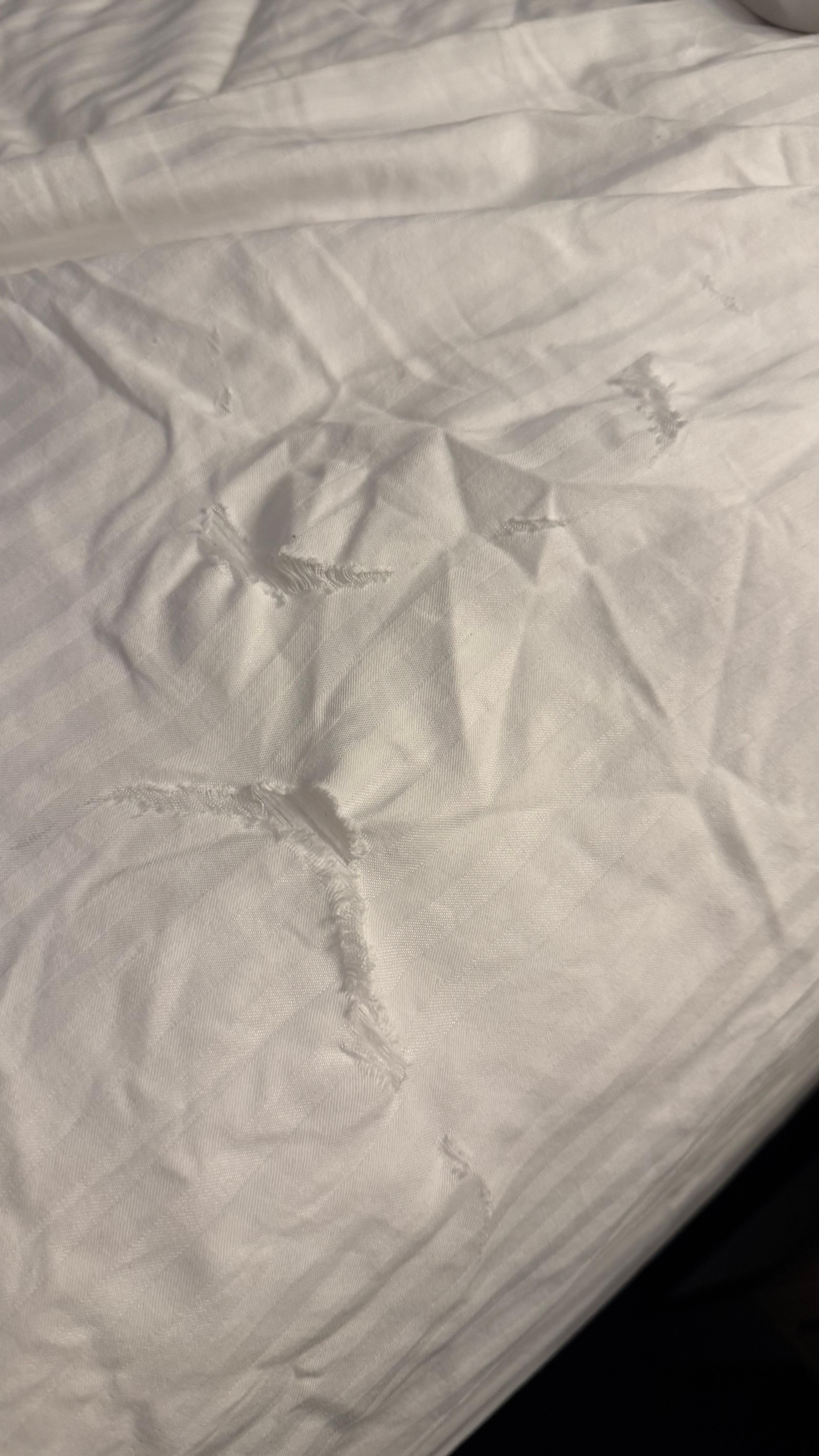 The sheets had some holes in them