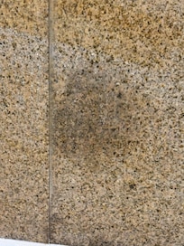 Mold on the wall