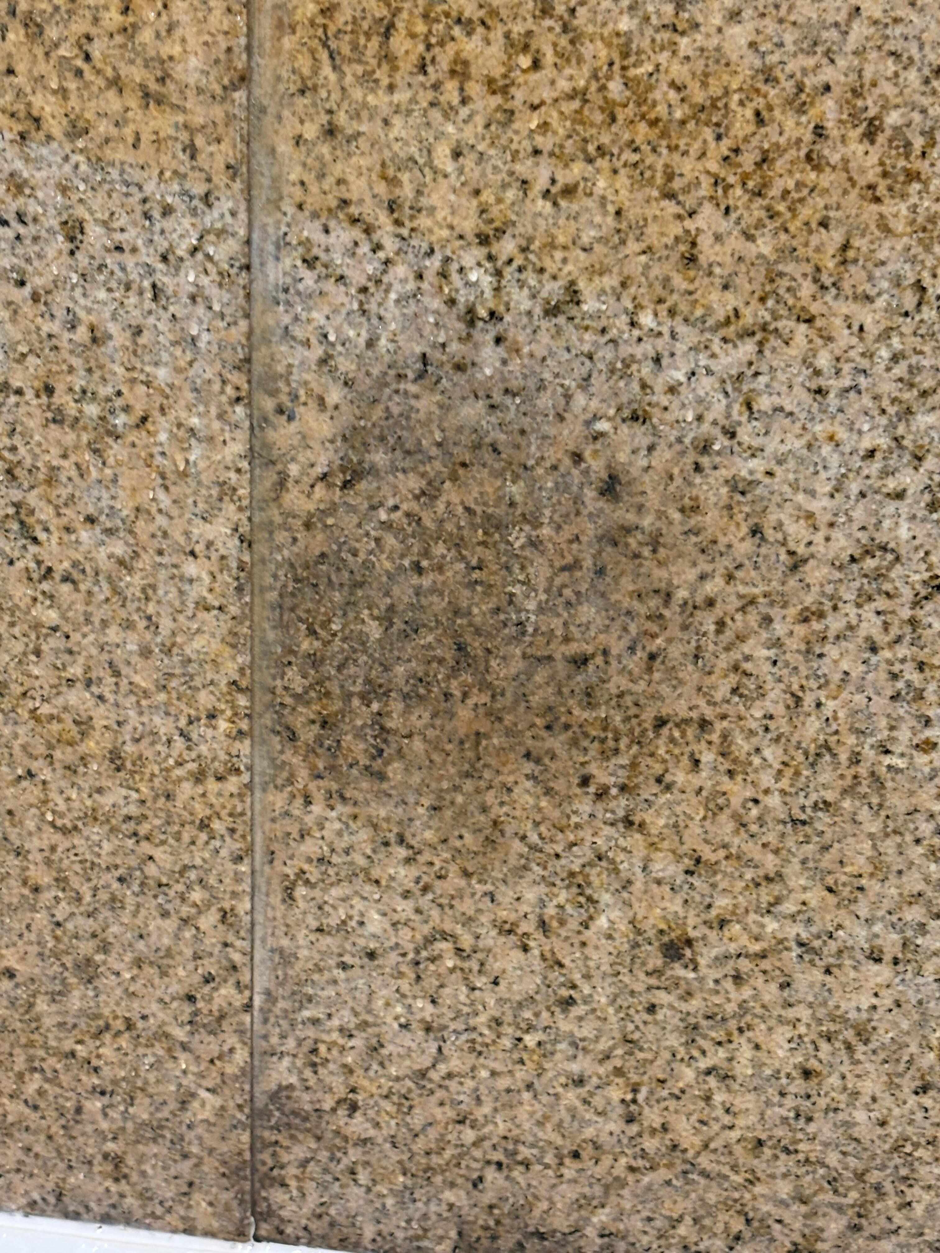 Mold on the wall