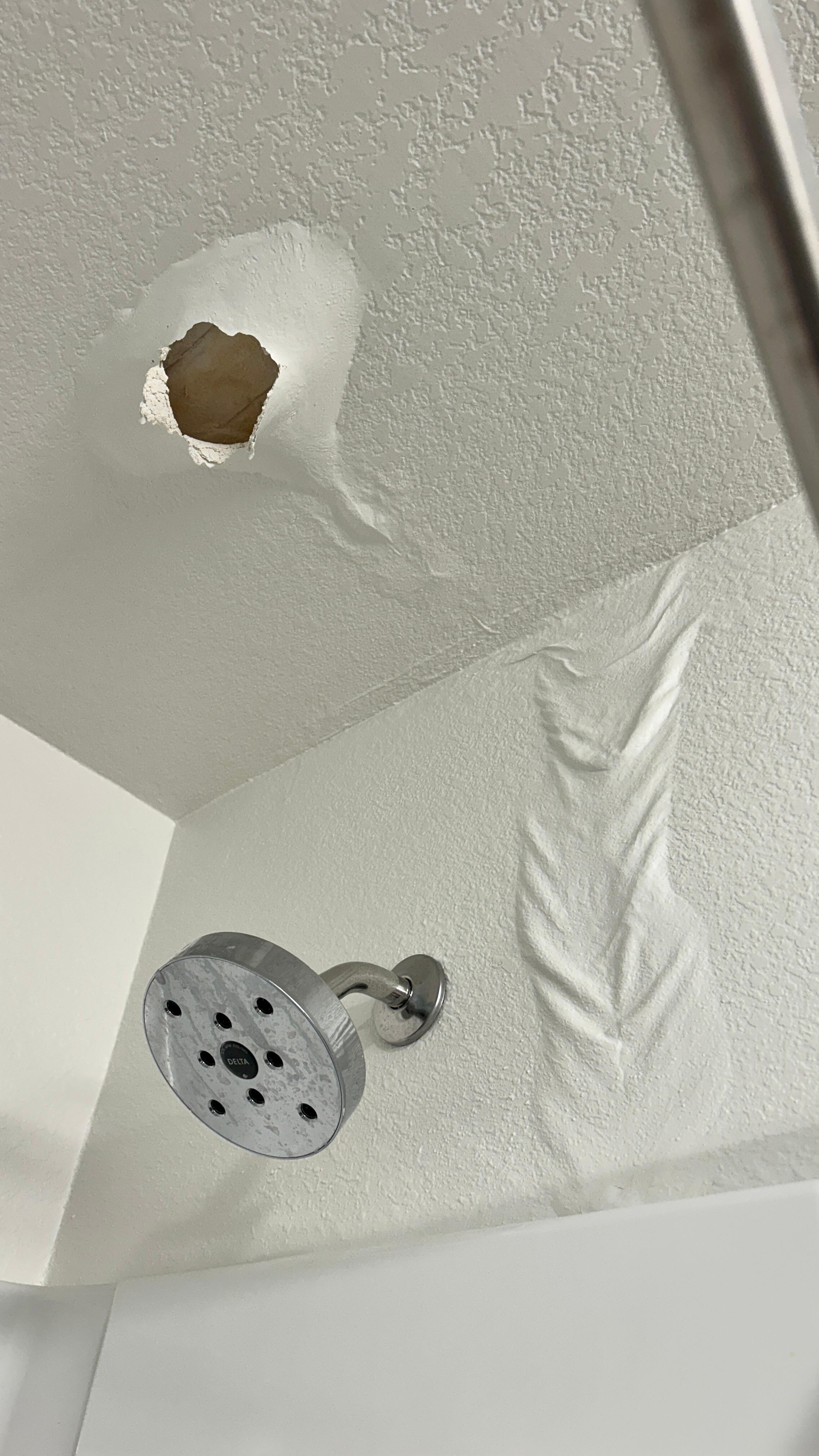 2024 build with a waterfall shower?