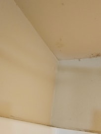 Mold in the shower