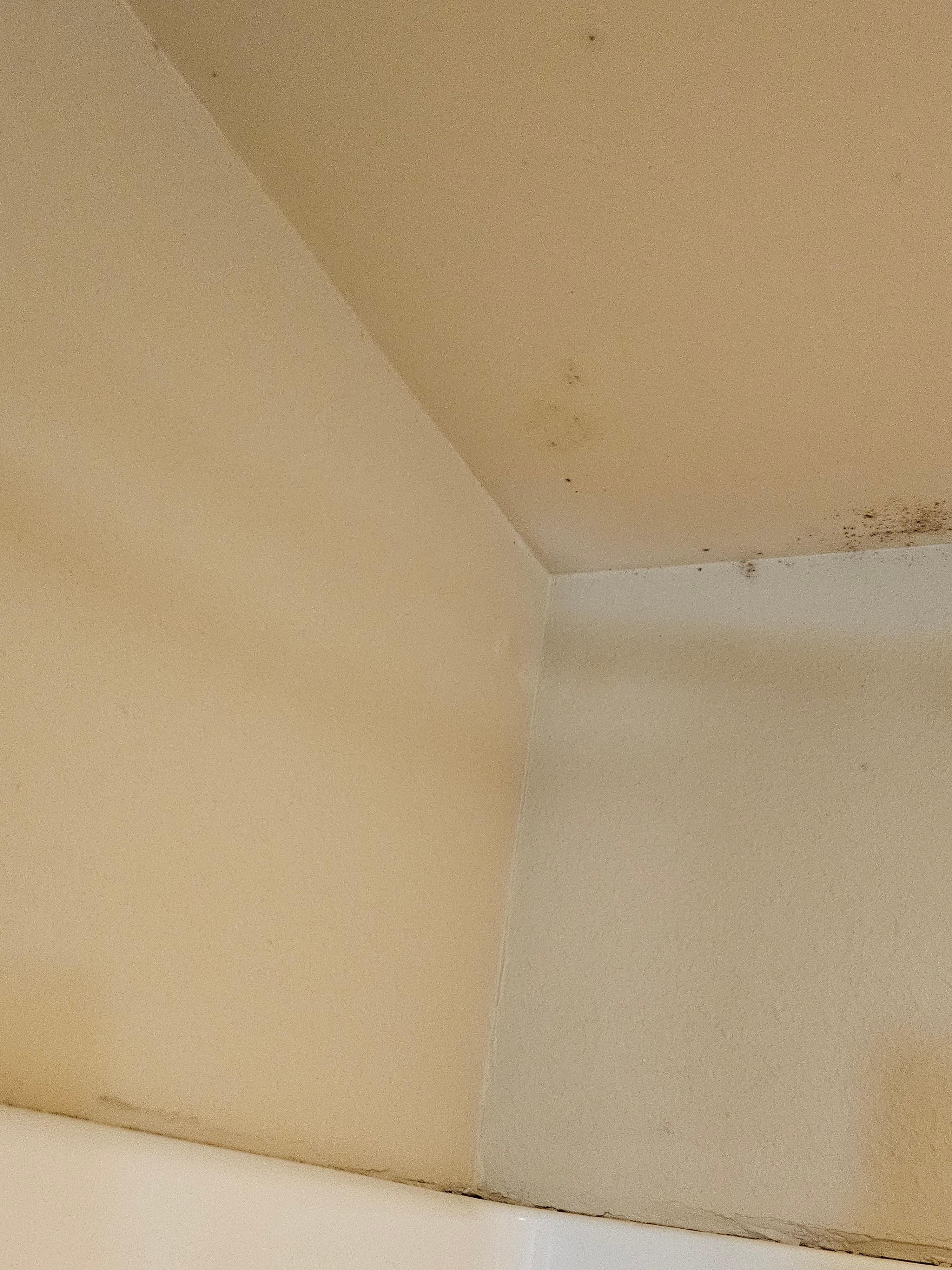 Mold in the shower 